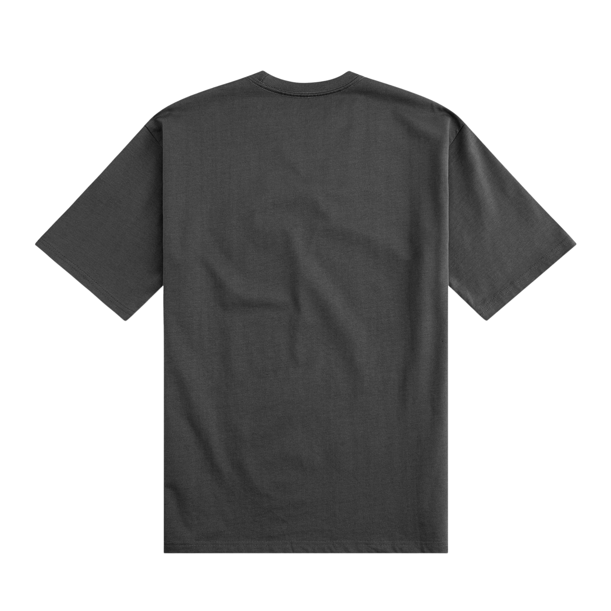 Paper Planes "SKY IS NOT THE LIMIT " Tee (Washed Black) - Paper Plane