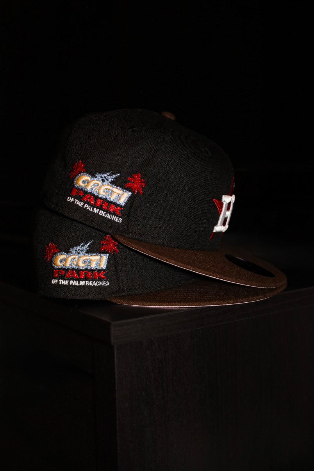New Era Houston Astros Cacti Park of The Palm Beaches Travis Scott Patch Fitted (Black/Brown)