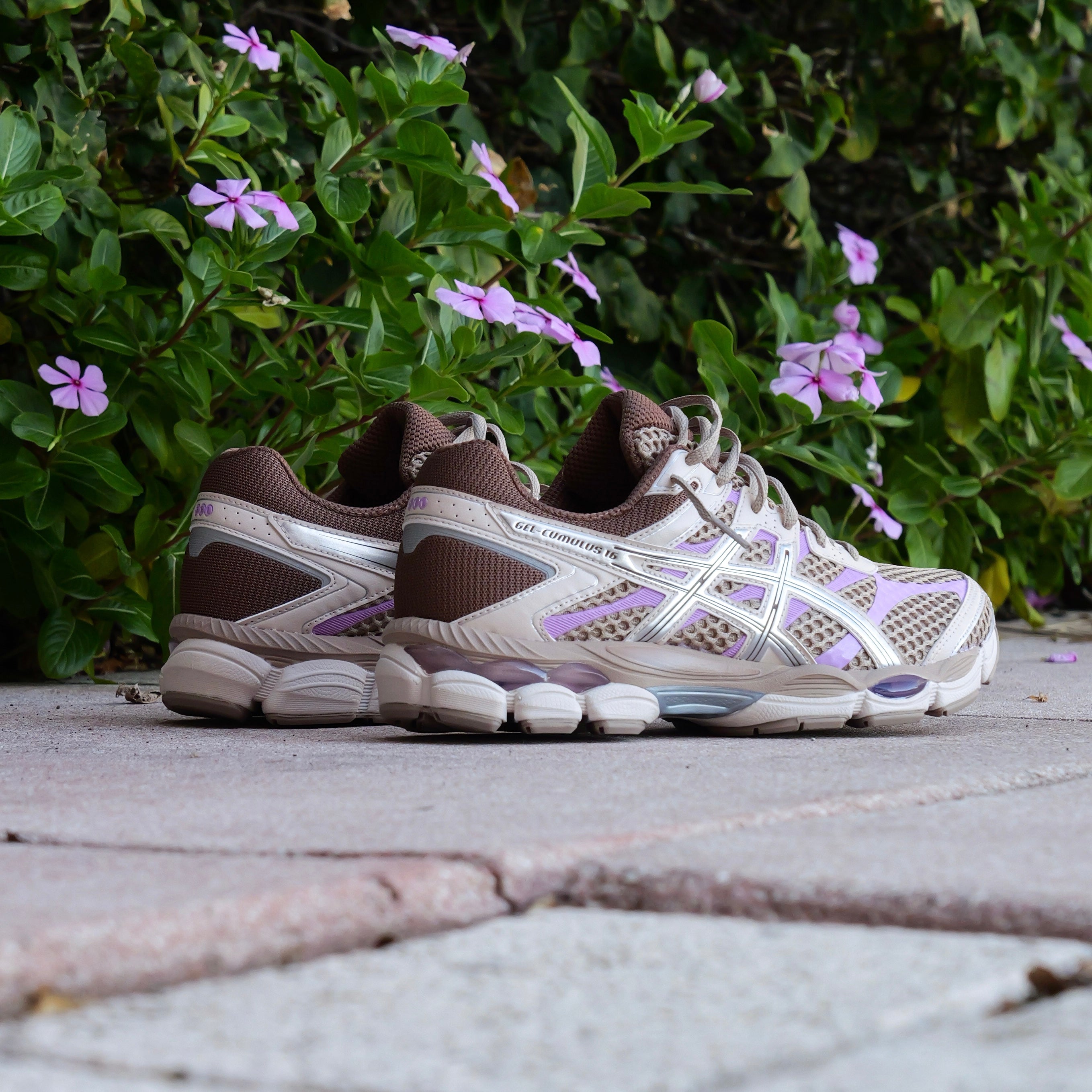 Mens Asics Gel-Cumulus 16 (Cinnamon/Pure Silver)