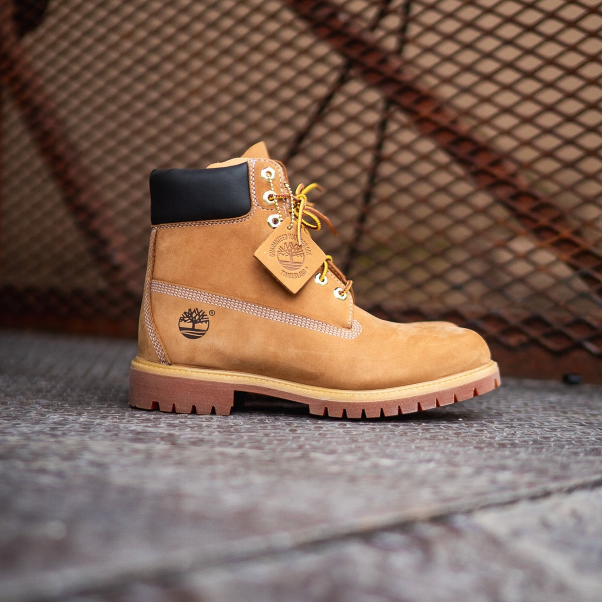 Timberland Premium 6 Inch Waterproof Boot (Wheat) 10061 
