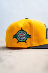 New Era Houston Astros 1986 Astrodome Lucky Green UV (Yellow/Navy) - New Era