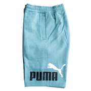 Puma Fleece Big 10' Shorts (Seafoam) - Puma